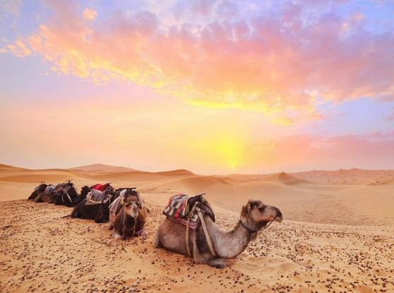 十大非洲最美麗的地方排行榜,維多利亞瀑布很壯觀、吉薩金字塔崇高而神秘 十大非洲最美麗的地方排行榜,維多利亞瀑布很壯觀、吉薩金字塔崇高而神秘