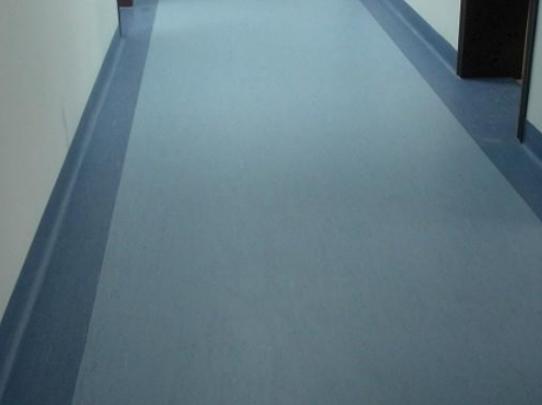 ʮ��֪�����z�ذ�Ʒ�ƣ�LGHausys�ܭh(hu��n)������ķ˹���ܵ����M����A