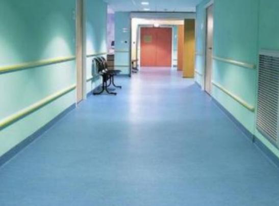 ʮ��֪�����z�ذ�Ʒ�ƣ�LGHausys�ܭh(hu��n)������ķ˹���ܵ����M����A