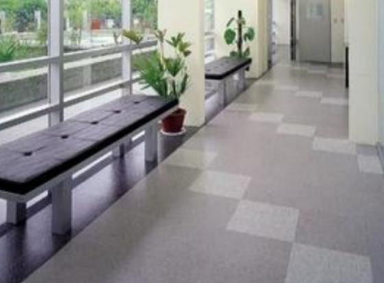 ʮ��֪�����z�ذ�Ʒ�ƣ�LGHausys�ܭh(hu��n)������ķ˹���ܵ����M����A