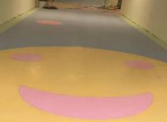 ���z�ذ�S��Ʒ���������˶����z�ذ��N���I(l��ng)�ȡ��������z�ذ��|(zh��)�����Qһ�^