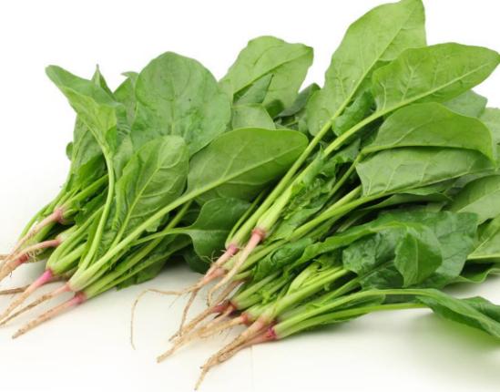 ȫ���J�������ʮ�N�߲ˣ����˿�·��͡����}�����A�����Y