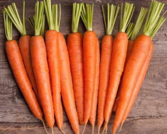 ȫ���J(r��n)�������ʮ�N�߲������˿�·��������}�����A(y��)�����Y