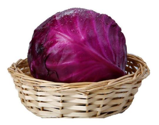 ȫ���J(r��n)�������ʮ�N�߲������˿�·��͡����}�����A(y��)�����Y