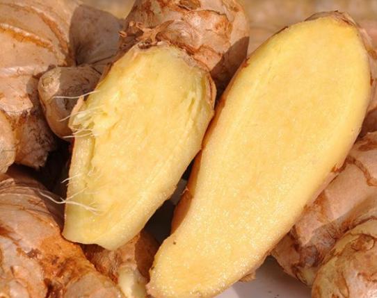 ȫ���J(r��n)�������ʮ�N�߲������˿�·��������}�����A(y��)�����Y