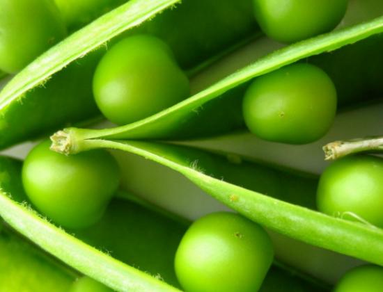 ȫ���J(r��n)�������ʮ�N�߲������˿�·��͡����}�����A(y��)�����Y