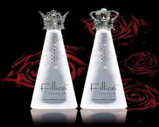 ����ʮ���ݳ޵VȪˮ��Fillico������Ϣ��CHATELDON�������F�匣��