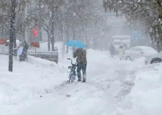 11�·�ȥ�ɶ���������ǟ���11�·ݵĳɶ������ô��