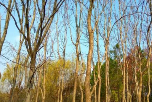 2023���Ϻ��Ķ����wʲô����ã��Ϻ������ض���