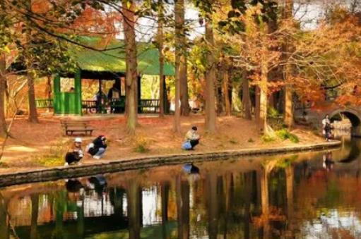 �Ϻ��붬�Ę�(bi��o)��(zh��n)����ô�ӵģ�2023-2024�궬�춬���Ϻ���(hu��)����(hu��)����