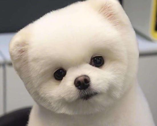 ʮ����ɐ۵�С��Ȯ���а�̩�Ͽɐۻ���������Ϳɶ�׃