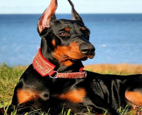 ʮ�����Ҍ��Ĺ����������ɪ{Ȯ׌���̿��������K���m����Ȯ��������