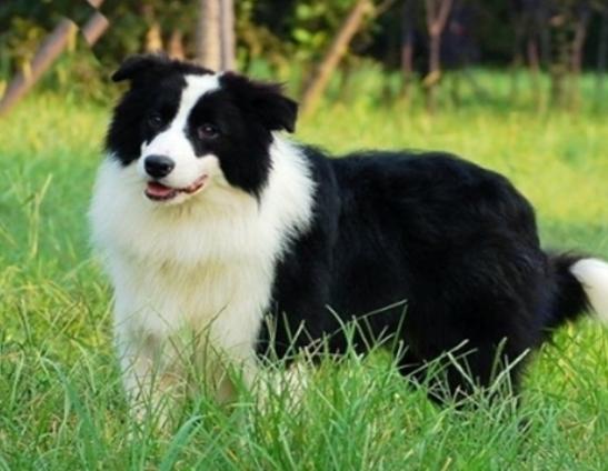 ʮ�����Ҍ��Ĺ����������ɪ{Ȯ׌���̿��������K���m����Ȯ��������