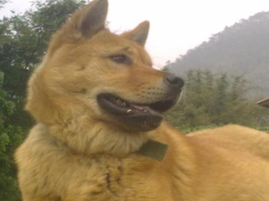 ʮ�����Ҍ��Ĺ����������ɪ{Ȯ׌���̿��������K���m����Ȯ��������