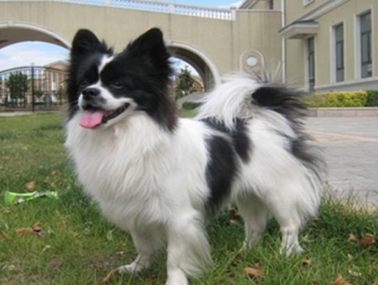 ʮ�����Ҍ��Ĺ����������ɪ{Ȯ׌���̿��������K���m����Ȯ��������