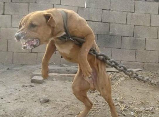 ����ʮ����B��Ȯ���а񣬱���Ȯ�ǳ����͡��ձ�����ϲ�g��