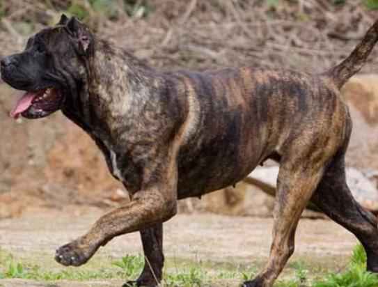 ����ʮ����B��Ȯ���а�������Ȯ�ǳ����͡��ձ�����ϲ�g��