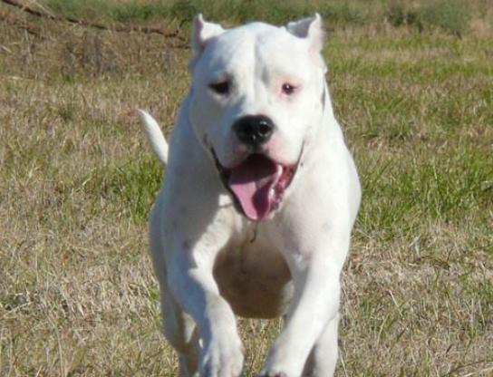 ����ʮ����B��Ȯ���а񣬱���Ȯ�ǳ��������ձ�����ϲ�g��