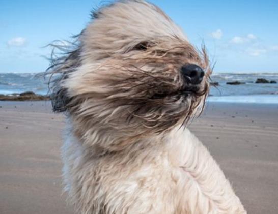 ����ʮ����B��Ȯ���а�������Ȯ�ǳ��������ձ�����ϲ�g��