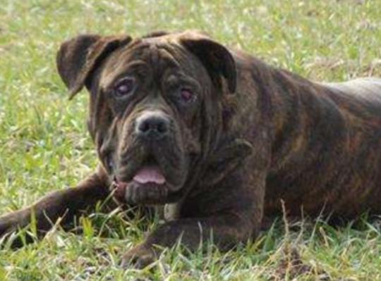 ����ʮ����B��Ȯ���а�������Ȯ�ǳ��������ձ�����ϲ�g��