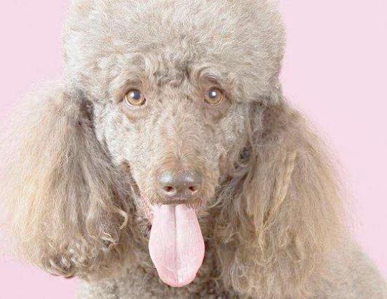 ʮ���혵�Ȯ���а�����ëȮ������ȇ}��������ϲ�gճ����