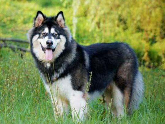 ʮ���혵�Ȯ���а�����ëȮ������ȇ}��������ϲ�gճ����