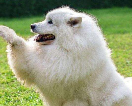 ʮ���혵�Ȯ���а�����ëȮ������ȇ}��������ϲ�gճ����