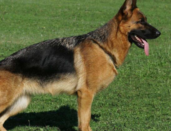 ʮ���혵�Ȯ���а�����ëȮ������ȇ}��������ϲ�gճ����