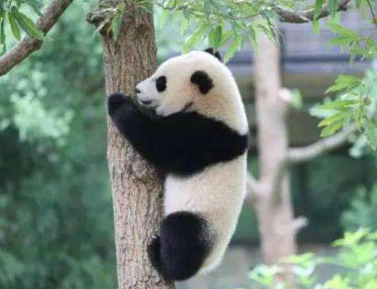 ����ʮ�����ܚgӭ��(d��ng)�����؈���҇�(gu��)��(gu��)�������������đС