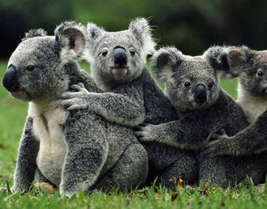 ����ʮ�����ܚgӭ�������؈���҇����������������đС