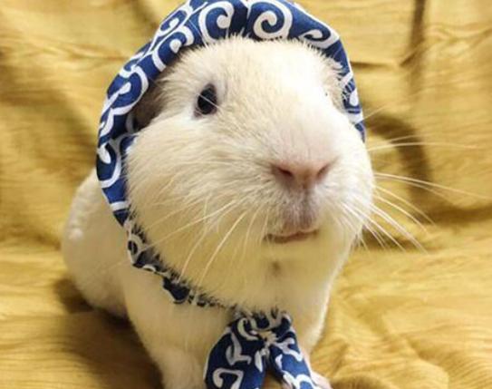 ����ʮ�����ܚgӭ�������؈���҇����������������đС