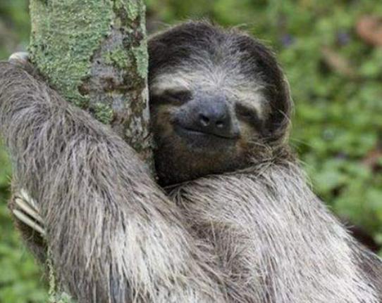 ����ʮ�����ܚgӭ�������؈���҇����������������đС