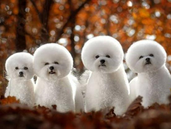 ����ʮ�����ܚgӭ����������؈���҇����������������đС