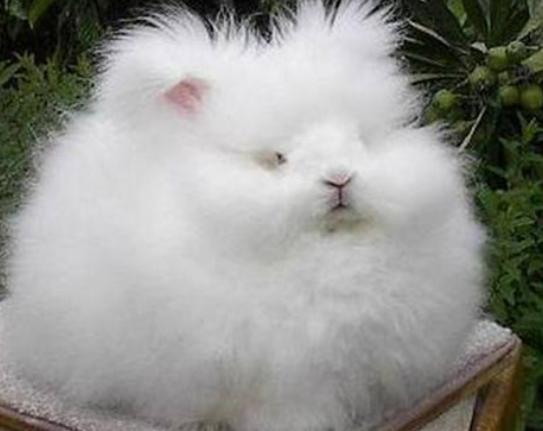 ����ʮ�����ܚgӭ�������؈���҇����������������đС