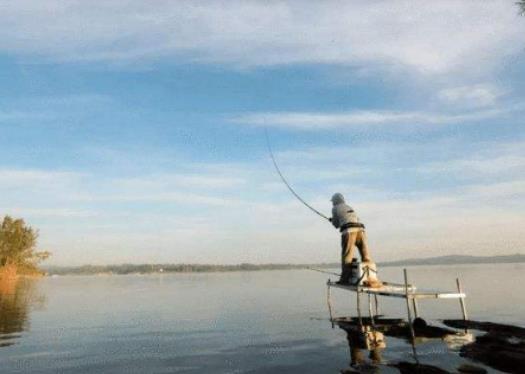 釣大鯽魚用什么餌好?什么天氣夜釣魚口好 釣大鯽魚用什么餌好?什么天氣夜釣魚口好