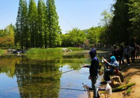 釣大鯽魚用什么餌好?什么天氣夜釣魚口好 釣大鯽魚用什么餌好?什么天氣夜釣魚口好