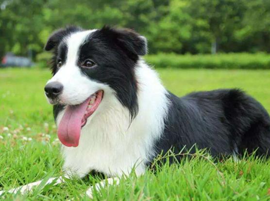 ʮ����Ȯ������߅������Ȯ��혙C(j��)�����F�eȮ��ͬ�F�D�マ(y��u)��