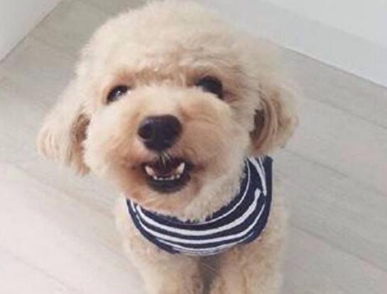 ʮ����Ȯ������߅������Ȯ��혙C�����F�eȮ��ͬ�F�D�マ��