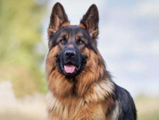 ʮ����Ȯ������߅������Ȯ��혙C�����F�eȮ��ͬ�F�D�マ��