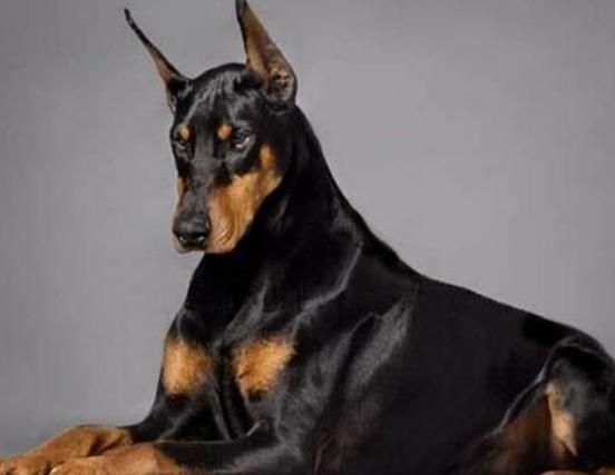 ʮ����Ȯ������߅������Ȯ��혙C�����F�eȮ��ͬ�F�D�マ��