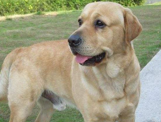 ʮ����Ȯ������߅������Ȯ��혙C�����F�eȮ��ͬ�F�D�マ��