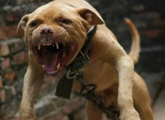 ����ʮ��Ȯ���а񣬱���Ȯ��(g��)���B��(qi��ng)�¸ҡ�����͢�Ÿ�ʮ�փ���