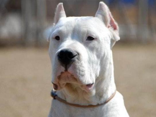 ����ʮ��Ȯ���а񣬱���Ȯ�����B���¸ҡ�����͢�Ÿ�ʮ�փ���