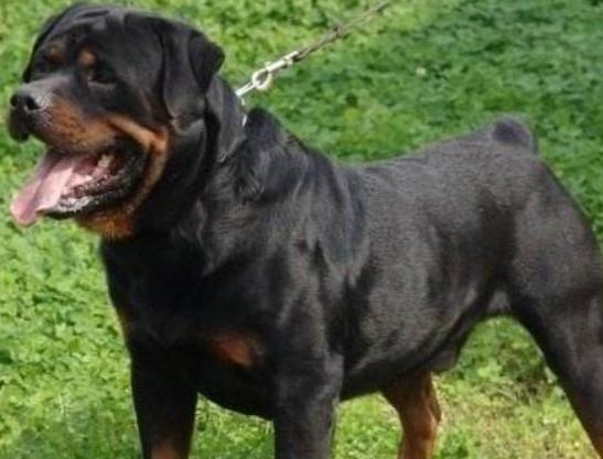 ����ʮ��Ȯ���а񣬱���Ȯ�����B���¸ҡ�����͢�Ÿ�ʮ�փ���