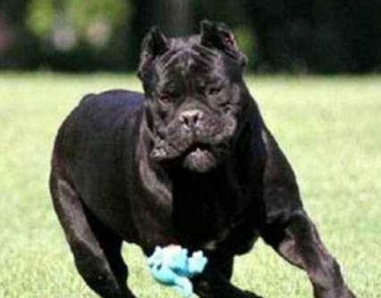 ����ʮ��Ȯ���а񣬱���Ȯ�����B���¸ҡ�����͢�Ÿ�ʮ�փ���