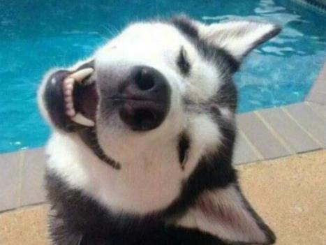 ����ʮ���Ȍ�������Ӣ����ë؈����ɐۡ��_ĦҮ���F�����ǂ�����