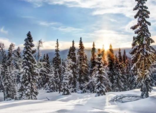 西安什么節氣會下雪?元旦的時候西安天氣怎么樣 西安什么節氣會下雪?元旦的時候西安天氣怎么樣