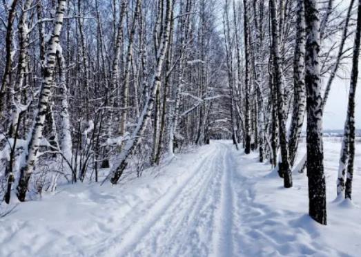 西安初雪在每年幾月份?元旦去西安玩穿什么合適 西安初雪在每年幾月份?元旦去西安玩穿什么合適