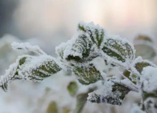 �����Fڡ��ѩ��(ji��)ÿ�춼�ş����᣿���������￴�Fڡ���^��