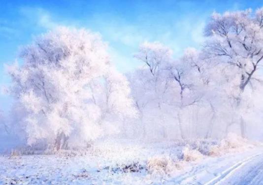 12�³�ȥ�����ܿ����Fڡ�᣿2024�꼪�����Fڡ��ѩ��(ji��)��̖�_ʼ